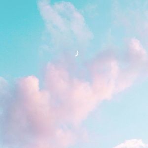 Meet your Posher, Dani